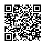 李太淼：坚决纠治形式主义官僚主义