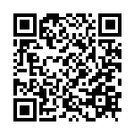 张占仓：河南持续参与共建“一带一路”仍需再发力