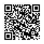 QR Code: /public/dson_spec/format_description/asset_management/start