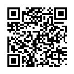 QR Flagship Nova Edition 320GB