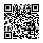 QR Selfie stick Nova Plus 256GB