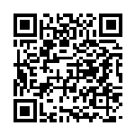 QR Selfie stick Nova Edition 320GB