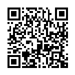 QR Bluetooth car Nova Max 192GB