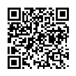 QR Bluetooth car Nova Plus 256GB