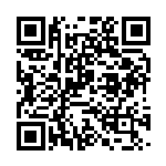 QR Bluetooth car Nova Edition 320GB