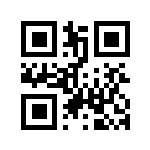 QR код промокода WDVIO04