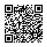bc1qgm6ram0hwh6yv036rxf22vw45frpz9gs0lh4thq2zflsh96j033qqwwkvx