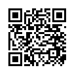 bc1qkrunk7u4rxmg60lgy6a6dg3svjach2w3mru40f