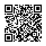 《河南工业发展报告（2024）》出版宣介暨“建设现代化产业体系”研讨会在郑州举行