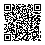 共話(huà)使命擔(dān)當(dāng)  貢獻(xiàn)巾幗力量