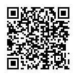 以高水平開放打造雙循環(huán)的重要支點(diǎn)