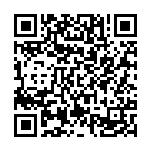 林园春：推动跨境电商高质量发展