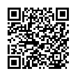 欢庆元宵 元启新篇