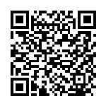 李太淼：坚决纠治形式主义官僚主义