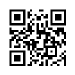QR preview