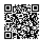 [25th]ロケット団参上!（Sプロモ 006/025 トレーナーズ – ）[25th-P006] QRコード