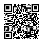 [25th]ロケット団の幹部（Sプロモ 013/025 トレーナーズ サポート ）[25th-P013] QRコード