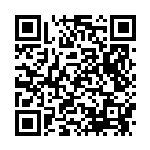 [25th]ガブリアスCLV.X（Sプロモ 018/025 無 ）[25th-P018] QRコード