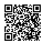 [25th]MレックウザEX（Sプロモ 024/025 無 ）[25th-P024] QRコード