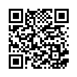 [BGS]ズルズキン（バトルギフトセット 010/017 悪 ポケモン ）[BGS010] QRコード