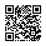 [BGS]スーパーボール（バトルギフトセット 016/017 グッズ トレーナーズ ）[BGS016] QRコード