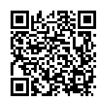 [BGS]ポケモンいれかえ（バトルギフトセット 017/017 グッズ トレーナーズ ）[BGS017] QRコード