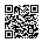 [BK]スーパーボール（バトル強化デッキ 009/014 グッズ トレーナーズ ）[BKb009] QRコード