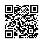 [BK]ベル（バトル強化デッキ 014/014 サポート トレーナーズ ）[BKc014] QRコード