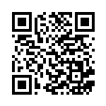 [BTV]げんきのかけら（バトルテーマデッキ 016/021 グッズ トレーナーズ ）[BTV016] QRコード