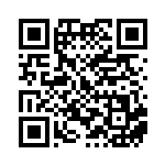 [BW-P]殿堂ベルト（プロモ 153/BW-P グッズ トレーナーズ ）[BW-P153] QRコード