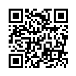 [BW-P]ヒュウ（プロモ 170/BW-P サポート トレーナーズ ）[BW-P170] QRコード