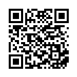 [BW-P]プラズマ団のモンスターボール（プロモ 179/BW-P グッズ トレーナーズ ）[BW-P179] QRコード