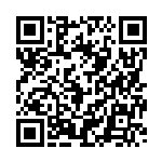 [BW-P]レベルボール（プロモ 2011-5/BW-P グッズ トレーナーズ ）[BW-P2011-5] QRコード