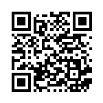 [BW4]U デンチュラ（ダークラッシュ 029/069 ）[BW4029] QRコード