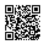 [BW4]R ゾロアーク（ダークラッシュ 049/069 ）[BW4049] QRコード