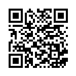 [BW4]C バルジーナ（ダークラッシュ 051/069 ）[BW4051] QRコード