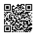 [BW7]SR ビクティニEX（プラズマゲイル 071/070 ）[BW7071] QRコード