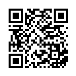 [BW8]R ボルトロスEX（ライデンナックル 020/051 雷 ）[BW8a020] QRコード