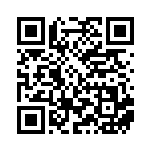 [BW8]C ダンバル（ライデンナックル 025/051 超 ）[BW8a025] QRコード