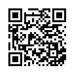 [BW8]C ミニリュウ（ライデンナックル 038/051 竜 ）[BW8a038] QRコード