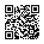 [BW8]U かるいし（ライデンナックル 048/051 トレーナーズ ポケモンのどうぐ ）[BW8a048] QRコード