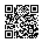 [BW9]R エムリット（メガロキャノン 029/076 超 ）[BW9029] QRコード