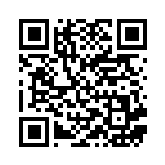 [BW9]R ディアルガEX（メガロキャノン 053/076 竜 ）[BW9053] QRコード