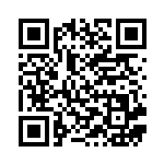 [CP1]R マグマ団のネンドール（ダブルクライシス 011/034 超 ）[CP1011] QRコード