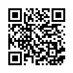 [CP1]U マグマ団のスーパーボール（ダブルクライシス 024/034 トレーナーズ グッズ ）[CP1024] QRコード