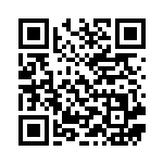 [CP1]U マグマポインター（ダブルクライシス 026/034 トレーナーズ グッズ ）[CP1026] QRコード