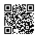 [CP1]U マグマ団の幹部（ダブルクライシス 029/034 トレーナーズ サポート ）[CP1029] QRコード