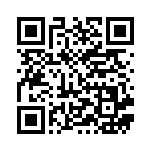 [CP1]U マグマ団の秘密基地（ダブルクライシス 032/034 トレーナーズ スタジアム ）[CP1032] QRコード