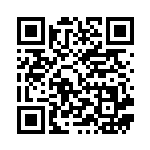 [CP2]C デデンネ（伝説キラコレクション 010/027 雷 ）[CP2010] QRコード