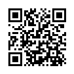 [CP2]R ディアルガ（伝説キラコレクション 017/027 悪 ）[CP2017] QRコード